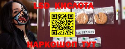 шишки Кинель