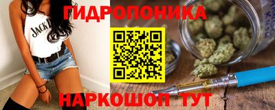 шишки Кинель