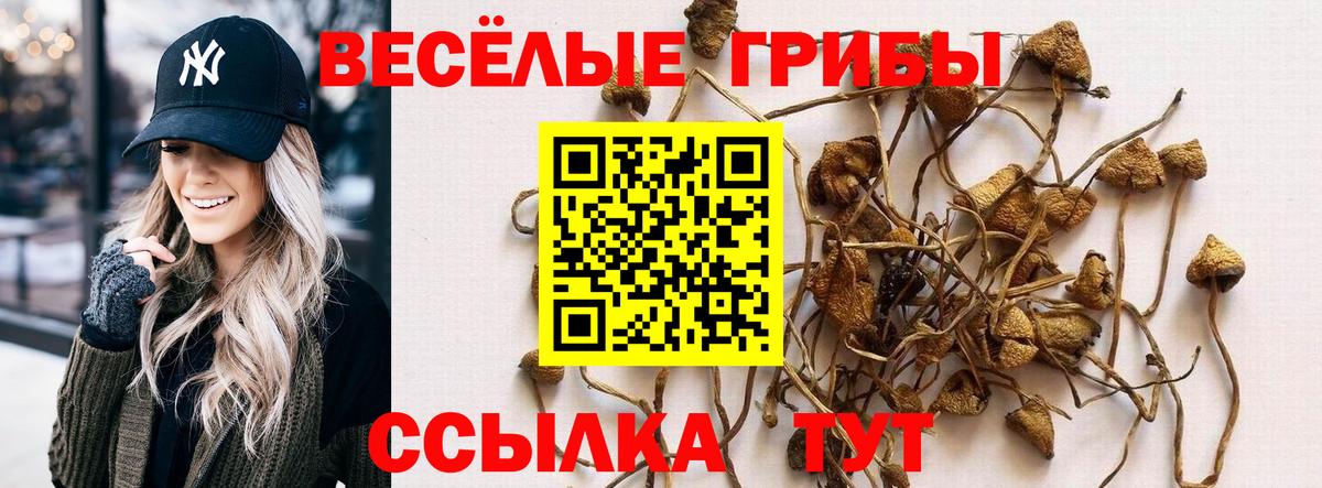 Псилоцибиновые грибы Cubensis Янаул